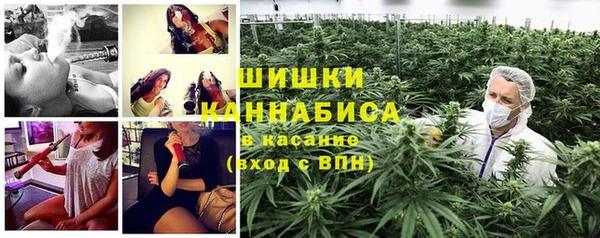 шишки Куйбышев