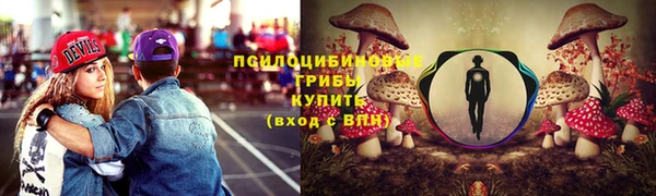 шишки Куйбышев
