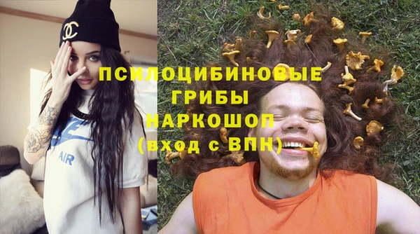 шишки Куйбышев